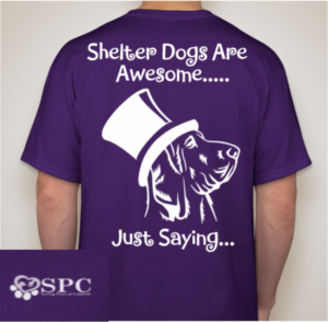 Shelter Dogs Are Awesome...